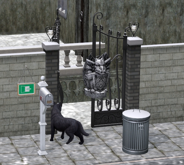 Cmentarz — pies pod boczną bramą.jpg
