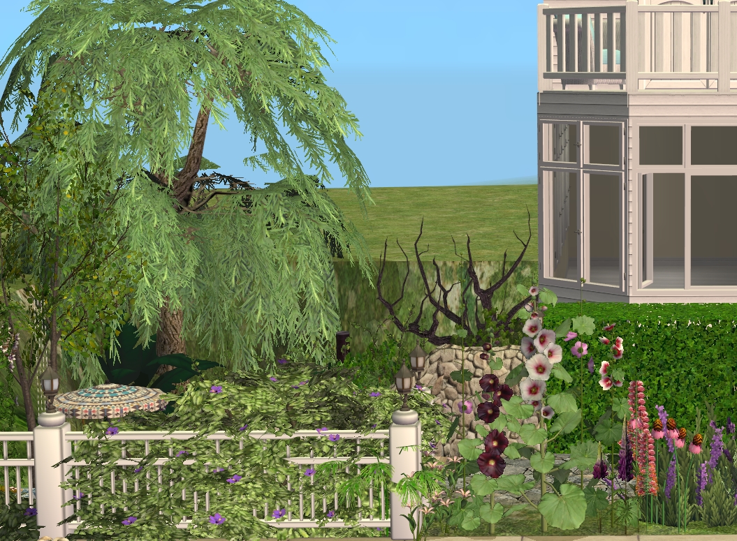 Biała Sadyba — ogród (część wypoczynkowa) — widok od frontu.jpg