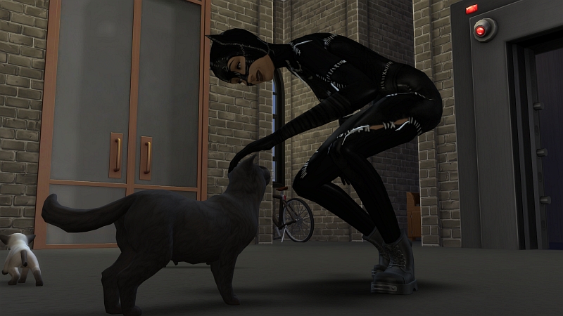catwoman.jpg