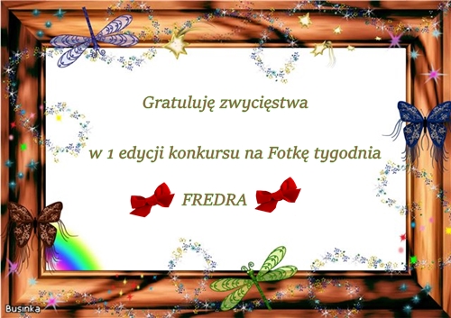 Fredziaxxx.jpg