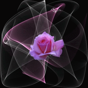 A-Beautiful-Rose-For-A-Beautiful-Friend-3-clarklover-13494166-300-300.gif
