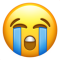 56-loudly-crying-face :56-loudly-crying-face: