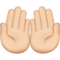 26-palms-up-together :26-palms-up-together: