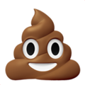 pile-of-poo :pile-of-poo: